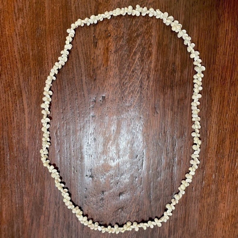 26" Seashell Necklace